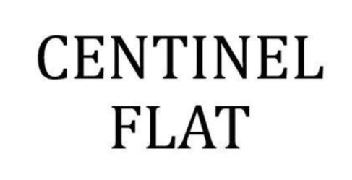 Imagen de CENTINEL FLAT
