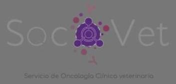 Imagen de SocVet Servicio de Oncología Clínica Veterinaria