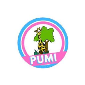 Imagen de PUMI
