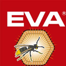 Imagen de EVA