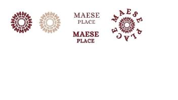 Imagen de Maese Place