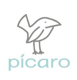 Imagen de pícaro