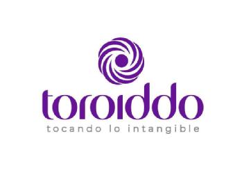 Imagen de TOROIDDO, TOCANDO LO INTANGIBLE