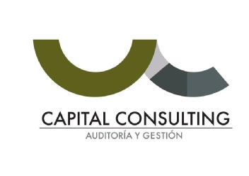 Imagen de CAPITAL CONSULTING AUDITORÍA Y GESTIÓN
