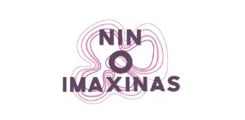 Imagen de NIN O IMAXINAS