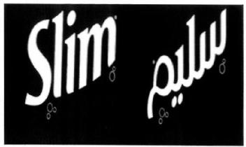 Imagen de SLIM