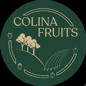 Imagen de COLINA FRUITS