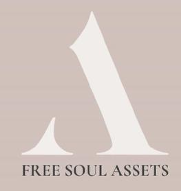 Imagen de FREE SOUL ASSETS