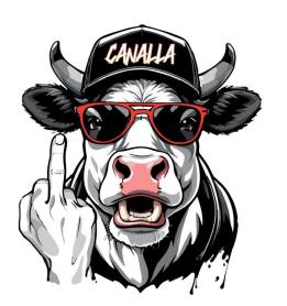 Imagen de CANALLA