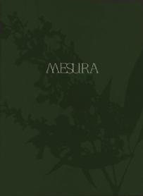 Imagen de MESURA
