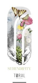 Imagen de SERENDIPITY TORAL BODEGA
