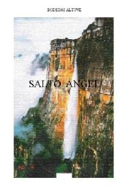 Imagen de BODEGAS ALTUVE SANTO ÁNGEL