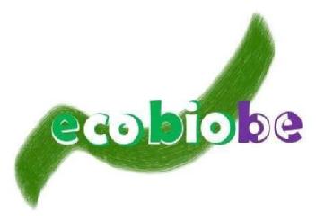 Imagen de ECOLOGICO Y BIOLOGICO DE LA BERENJENA FRESCA