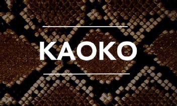 Imagen de KAOKO