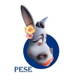 Imagen de PESE