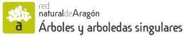 Imagen de A RED NATURAL DE ARAGÓN ÁRBOLES Y ARBOLEDAS SINGULARES