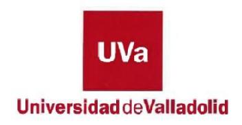 Imagen de UVA UNIVERSIDAD DE VALLADOLID