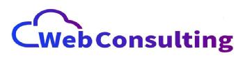 Imagen de Web Consulting