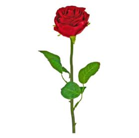Imagen de Mulán Rosas