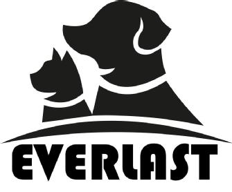 Imagen de EVERLAST