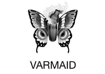 Imagen de VARMAID