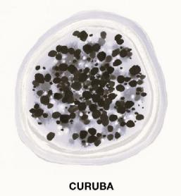 Imagen de CURUBA
