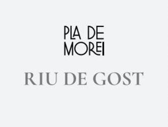 Imagen de PLA DE MOREI RIU DE GOST