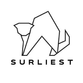Imagen de SURLIEST