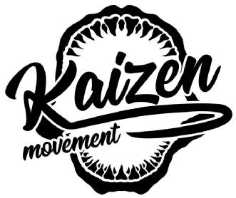 Imagen de KAIZEN MOVEMENT