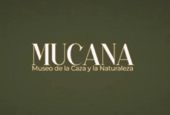 Imagen de MUCANA Museo de la Caza y la Naturaleza