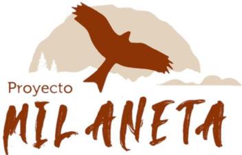 Imagen de PROYECTO MILANETA