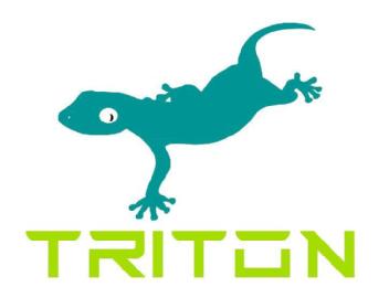 Imagen de TRITON