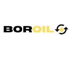 Imagen de BOROIL