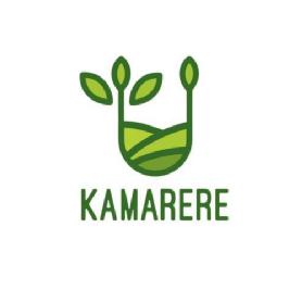 Imagen de KAMARERE