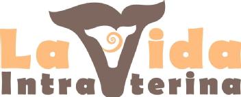 Imagen de La Vida Intrauterina