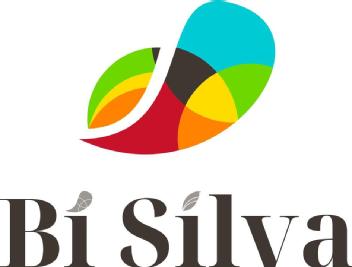 Imagen de BI SILVA