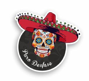 Imagen de PURO DESFASE