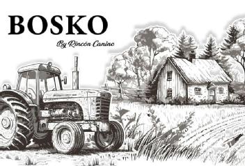 Imagen de BOSKO