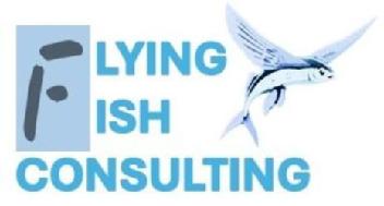 Imagen de FLYING FISH CONSULTING