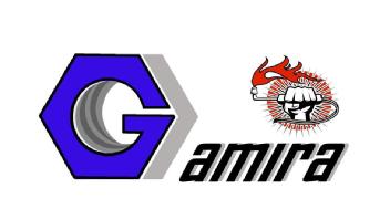 Imagen de GAMIRA