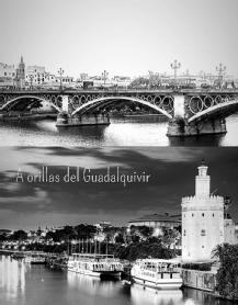 Imagen de A ORILLAS DEL GUADALQUIVIR