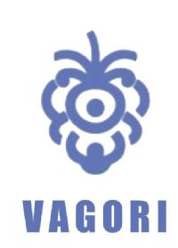 Imagen de VAGORI