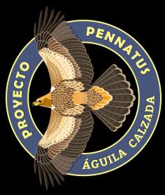 Imagen de PROYECTO PENNATUS ÁGUILA CALZADA