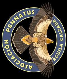 Imagen de ASOCIACIÓN PENNATUS ÁGUILA CALZADA