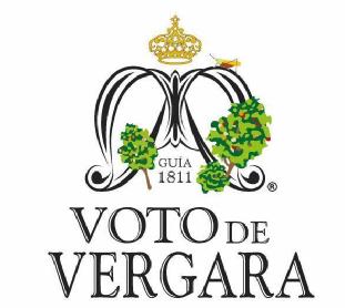 Imagen de GUIA 1811 VOTO DE VERGARA