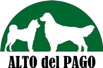 Imagen de ALTO del PAGO