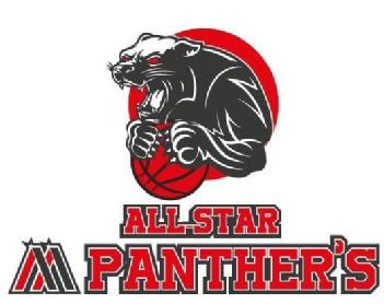 Imagen de ALL-STAR AA PANTHER\'S