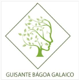Imagen de GUISANTE BÁGOA GALAICO