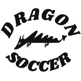 Imagen de DRAGON SOCCER