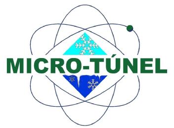 Imagen de MICRO-TUNEL